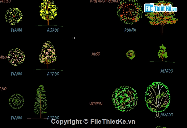 chi tiết họa tiết,Bản vẽ autocad,cad cây